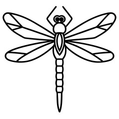 Stylized Dragonfly Drawing with Detailed Wings and Body