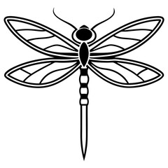 Stylized Dragonfly Drawing with Detailed Wings and Body