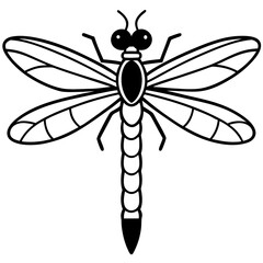 dragonfly isolated on white