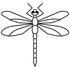 Stylized Dragonfly Drawing with Detailed Wings and Body