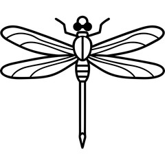 Stylized Dragonfly Drawing with Detailed Wings and Body