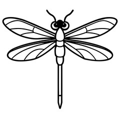 Stylized Dragonfly Drawing with Detailed Wings and Body