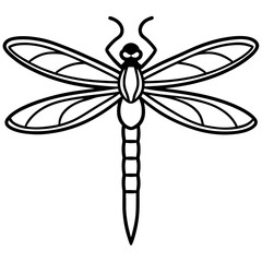 Stylized Dragonfly Drawing with Detailed Wings and Body
