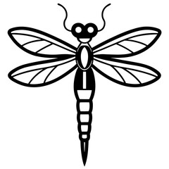 dragonfly isolated on white background