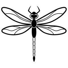 Stylized Dragonfly Drawing with Detailed Wings and Body