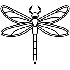 Stylized Dragonfly Drawing with Detailed Wings and Body