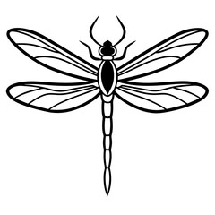 Stylized Dragonfly Drawing with Detailed Wings and Body