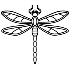 Stylized Dragonfly Drawing with Detailed Wings and Body
