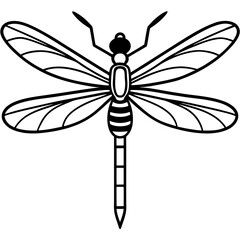 Stylized Dragonfly Drawing with Detailed Wings and Body