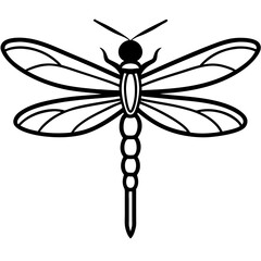Stylized Dragonfly Drawing with Detailed Wings and Body