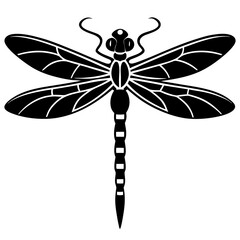 Stylized Dragonfly Drawing with Detailed Wings and Body