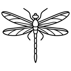 Stylized Dragonfly Drawing with Detailed Wings and Body