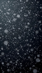 Real snow falling in a winter night. White snow on black background. Abstract elements to use in graphic design or as an overlay for other photos, smooth light. with white shades