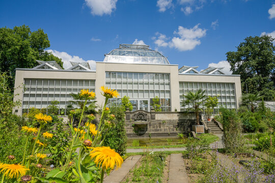 Palmenhaus, Botanischer Garten der Justus-Liebig-Universit&auml;t, Senckenbergstra&szlig;e, Gie&szlig;en, Hessen, Deutschland