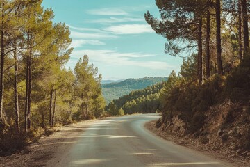 Fototapeta premium A deserted road flanked on both sides by pine forests under a blue sky.