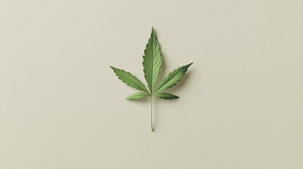 Enthralling Cannabis Leaf, A Pristine Botanical Beauty