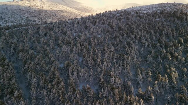 Snowy mountains in a cold dark day
