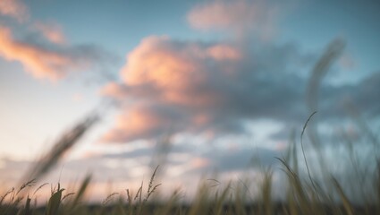 Naklejka premium Serene Cloudy Sky with Blurred Grass in Foreground Capturing Peaceful Atmosphere and Natural Beauty at Dusk or Dawn