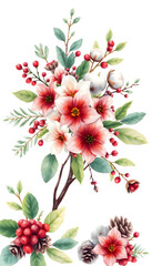 Watercolor Christmas bouquets with winter flowers, leaves, branches on tree, berries, cotton and cones, isolated on white background, realistic. with white shades