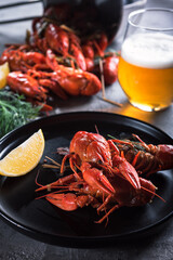 Boiled crayfish on a black plate with a slice of lemon and a glass of beer on the table. Close-up.