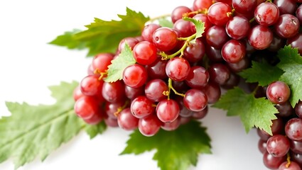 Fototapeta premium Fresh red grapes with green leaves showcasing natural beauty and flavor