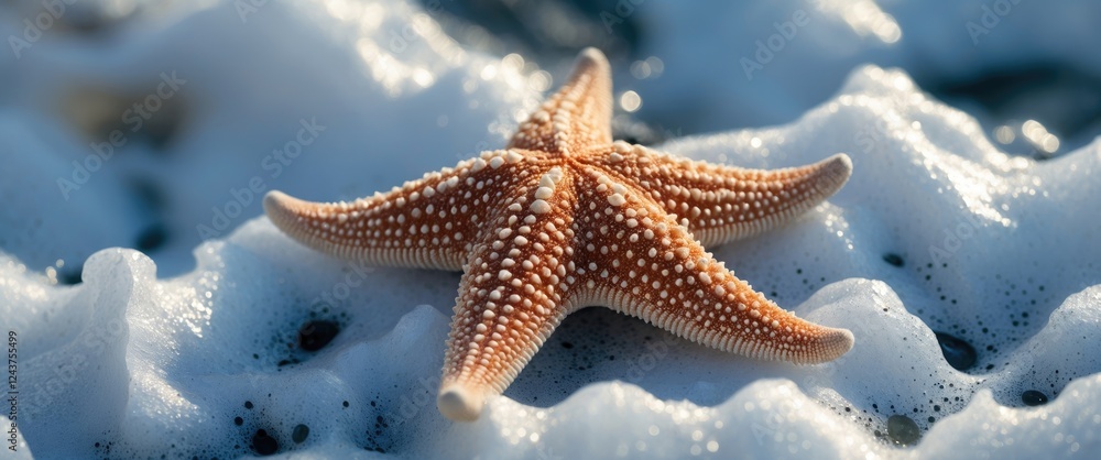 Poster starfish resting on a beach with sea foam creating a serene coastal scene suitable for text overlay 