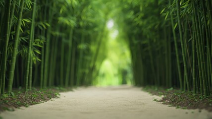 Serene Sand Path Through Lush Green Bamboo Forest Tranquil Nature Scene