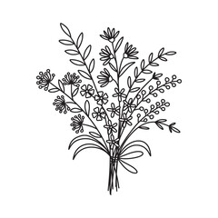 Hand drawn flower. Wildflower line art bouquets set, wild plant, flower bouquet vector. Botanical vector illustration