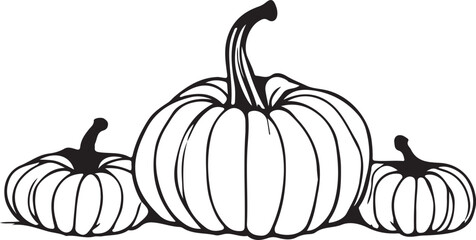 pumpkin on a white background