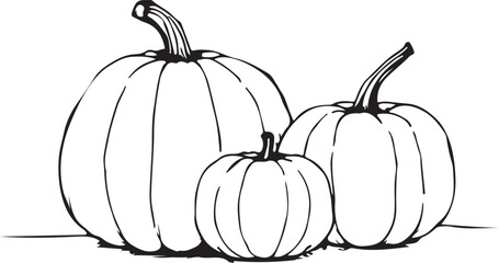 pumpkin on a white background