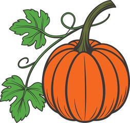 vector illustration of pumpkin
