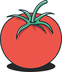 vector illustration of a tomato 