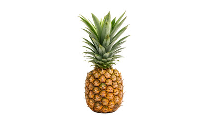 Fototapeta premium pineapple isolated on white