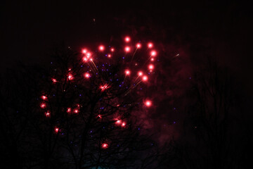 Small amatuer new years firework shooting fireworks.