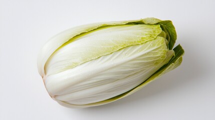 Fresh Endive Lettuce with Crisp Layered Leaves on White Background