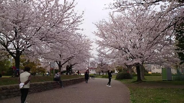 日本寺院風景