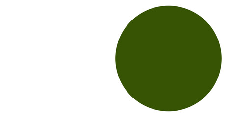 White Toggle with Green Button