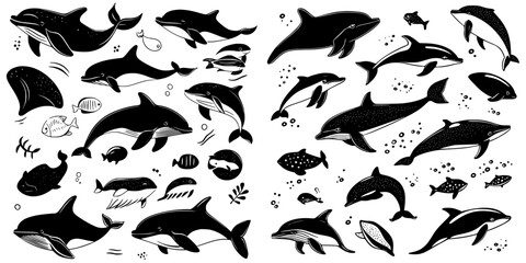 Whales and dolphins illustrated in black and white, showcasing diverse marine life and playful underwater activities