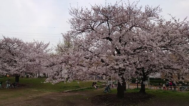 日本寺院風景