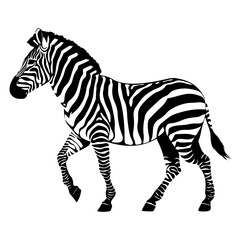 Intricate Zebra Vector – Detailed Black and White Animal Drawing