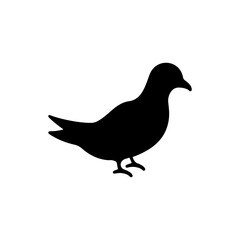 Pigeon silhouette vector illustration on white background
