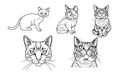 Set of cute hand drawn cartoon style cat line art, Animal flat illustration for children. vector