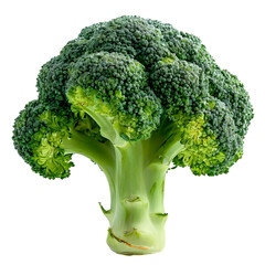 Fresh broccoli isolated transparent background a sample for package design