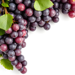 bunch of grapes