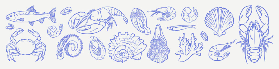 Italian Seafood Set. Summer naive line illustration of shell, crab, octopus, oyster, lobster, shrimp, fish, salmon, mussels. Doodle sketch drawing for invitation wedding or party.	
