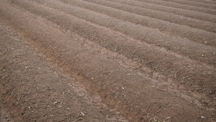 a field that is plowed before planting