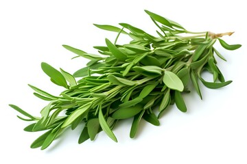 Fototapeta premium Fresh green rosemary sprigs isolated on white background, perfect for culinary, cooking, and food photography projects. Natural aromatic herb for Mediterranean cuisine.