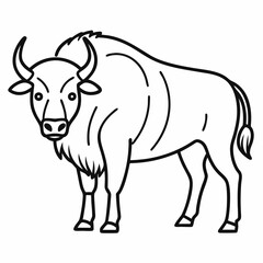 Simple a Bison line art vector white background
