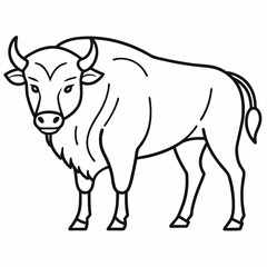 Simple a Bison line art vector white background