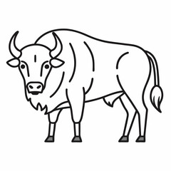 Simple a Bison line art vector white background